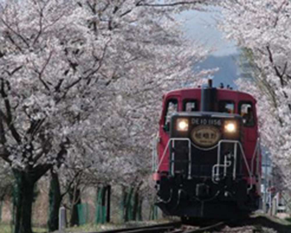 嵯峨野観光鉄道