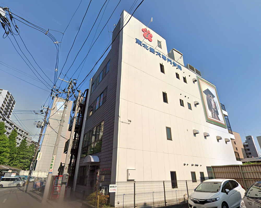 東北愛犬専門学校